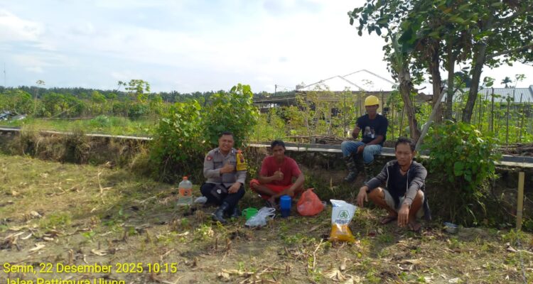Personel Bhabinkamtibmas Polsek Siantar Marihat Kelurahan Parhorasan Nauli, Bripka P. Butar Butar, melaksanakan monitoring ladang jagung milik warga di Jalan Pattimura Ujung. Foto: Dok. Humas Polres Pematangsiantar.